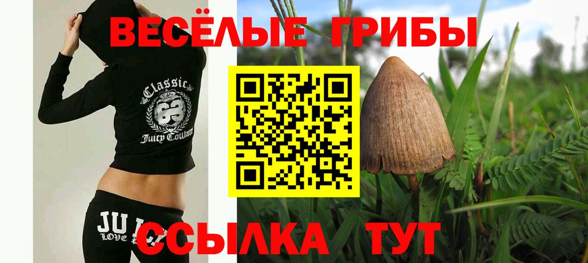 Зерноград  Псилоцибиновые грибы прущие грибы  Вход с VPN 